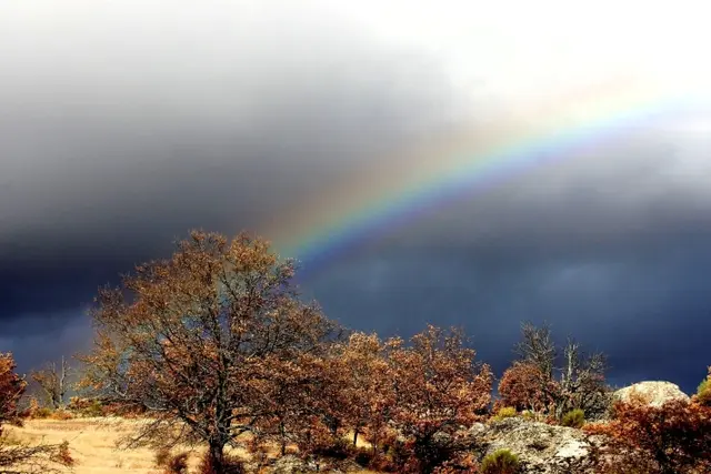 Soria espera un jueves nuboso con temperaturas entre 2 y 17 grados