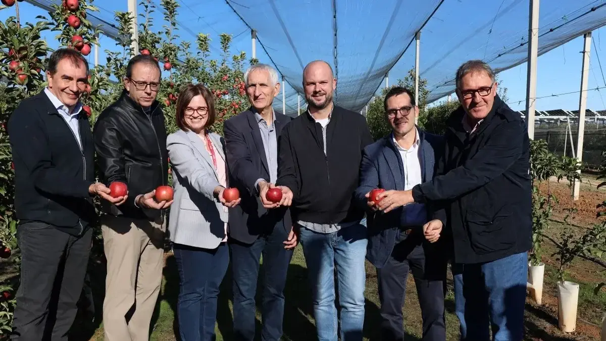 Mollerussa conoce una manzana que resiste el calor extremo