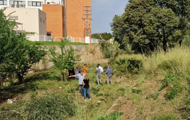 Gandia fija las bases para recuperar ambientalmente el barranco de Beniopa