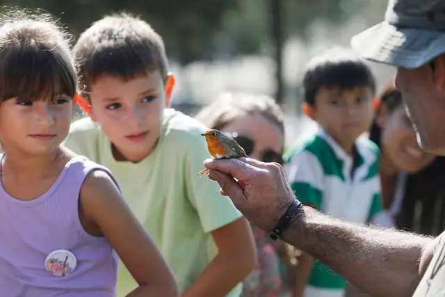 El Parc dels Estanys acogerá una jornada gratuita dedicada a las aves