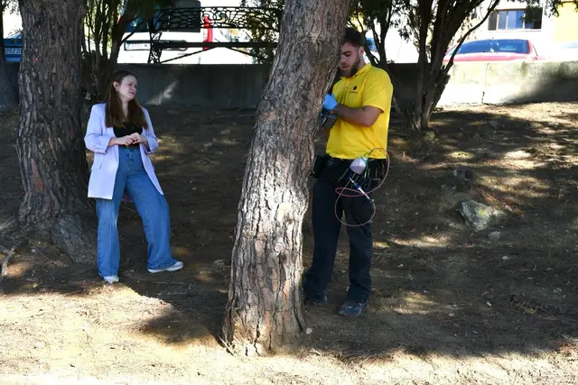 San Roque aplica endoterapia a los pinos para frenar la procesionaria