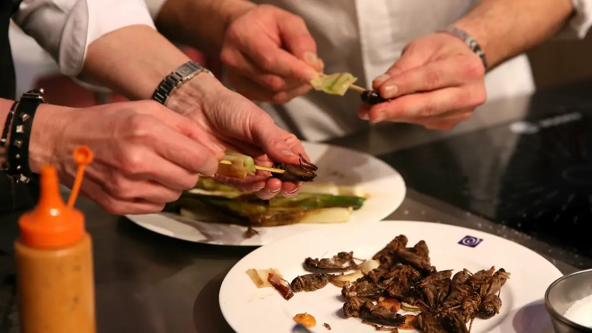 La presentación de los insectos, clave para afrontar el rechazo a comerlos