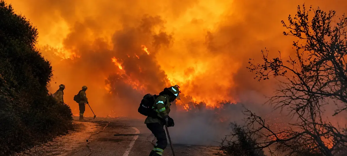 Diecisiete solicitudes de agricultores afectados por el incendio optan a ayudas municipales