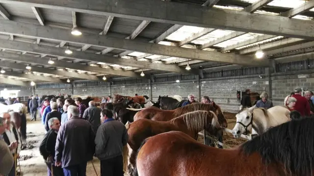 La Feria de San Simón reunirá al sector equino en Grado el 28 de octubre