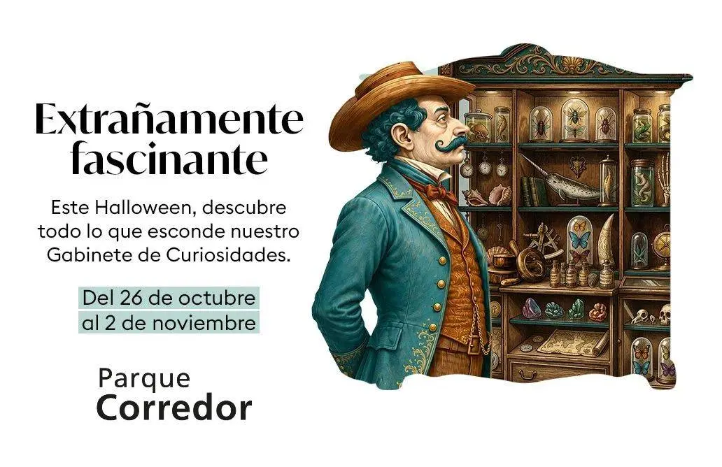Un recorrido de Halloween con juegos y premios llega a Parque Corredor