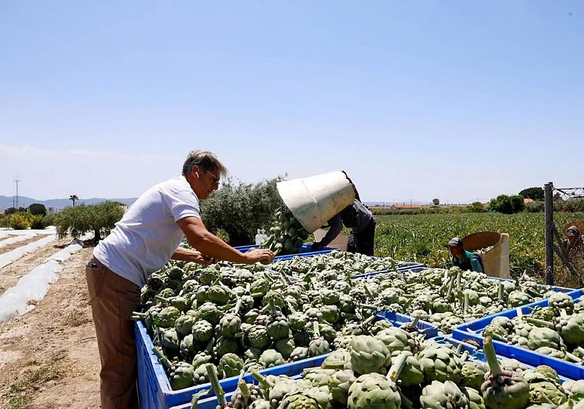 Lorca prepara medidas fiscales y de licencias para el campo