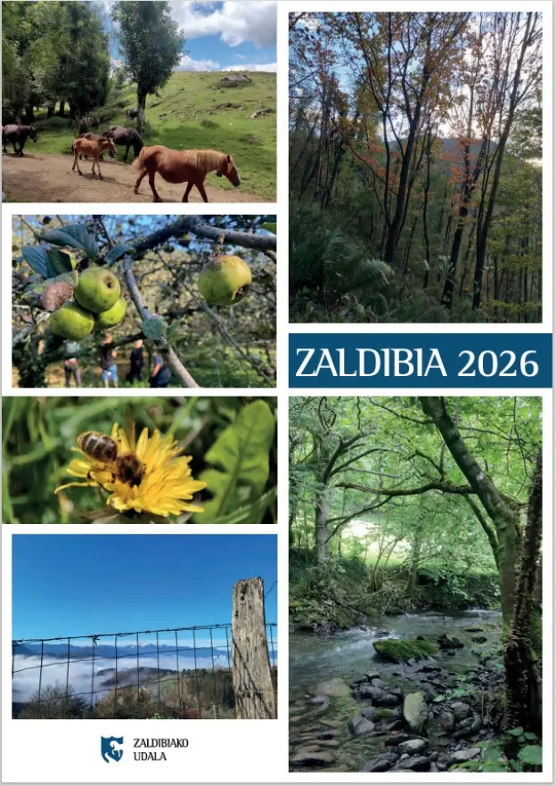 Zaldibia busca fotografías horizontales para su calendario de 2027