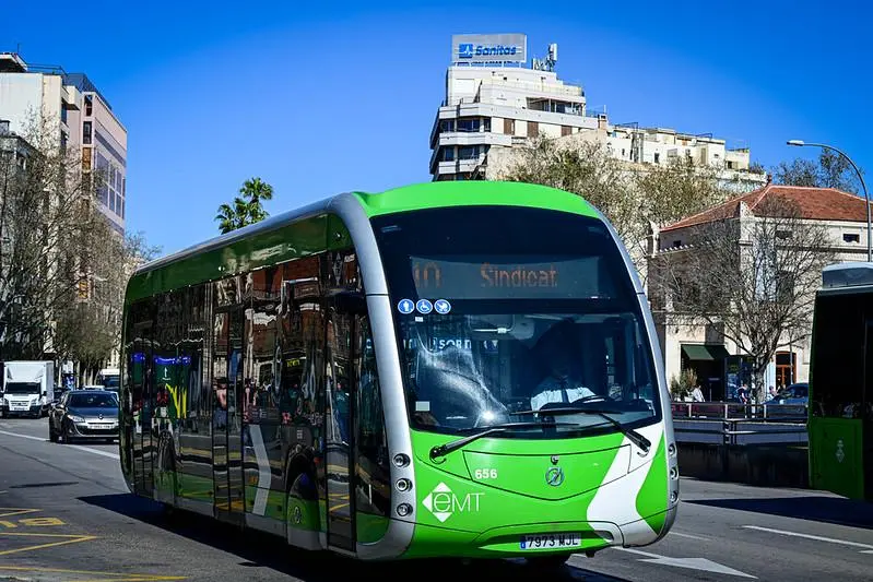 Carrera contra el cáncer: Palma prepara cambios de tráfico y desvíos de bus