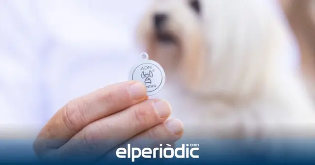 Burriana suma 500 análisis gratuitos al registro genético canino
