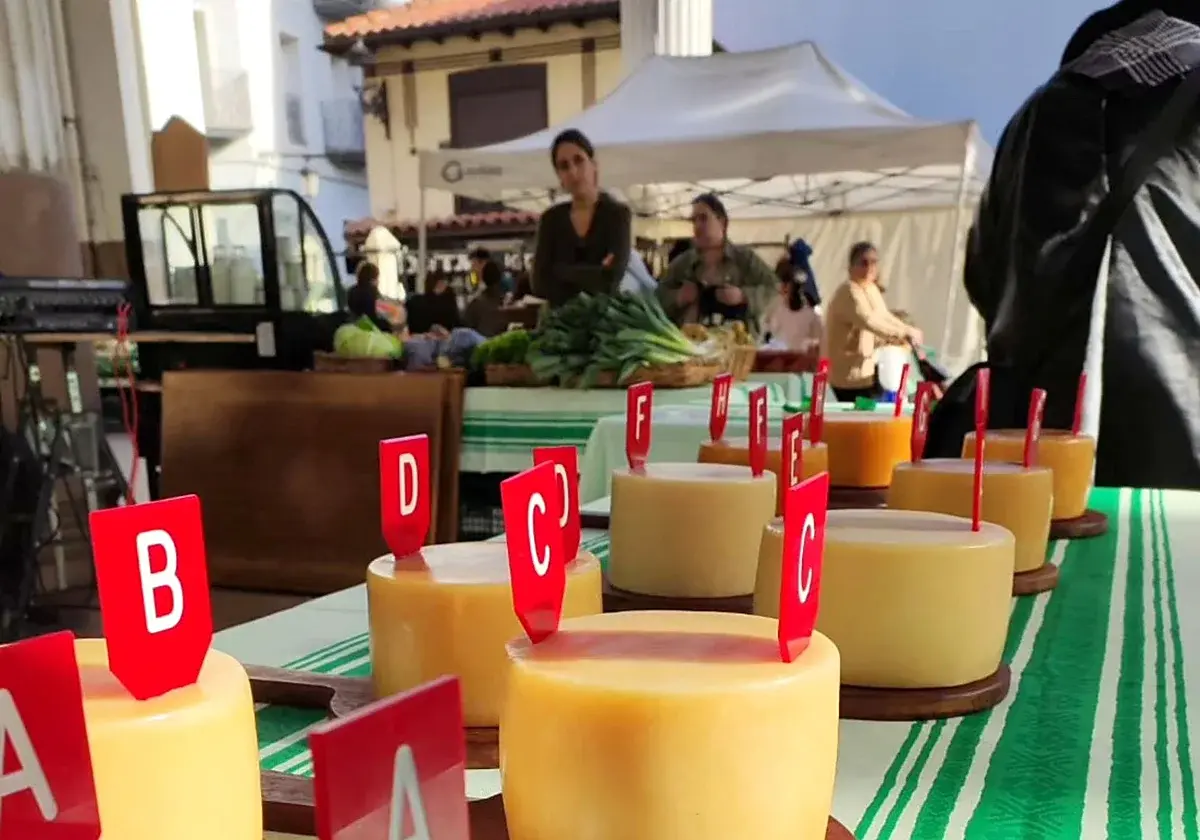 Ordizia reúne el miércoles a diez ganadores en su concurso de quesos