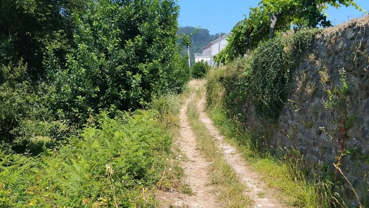 El camino de Guillabai ganará anchura y será asfaltado en Dorrón