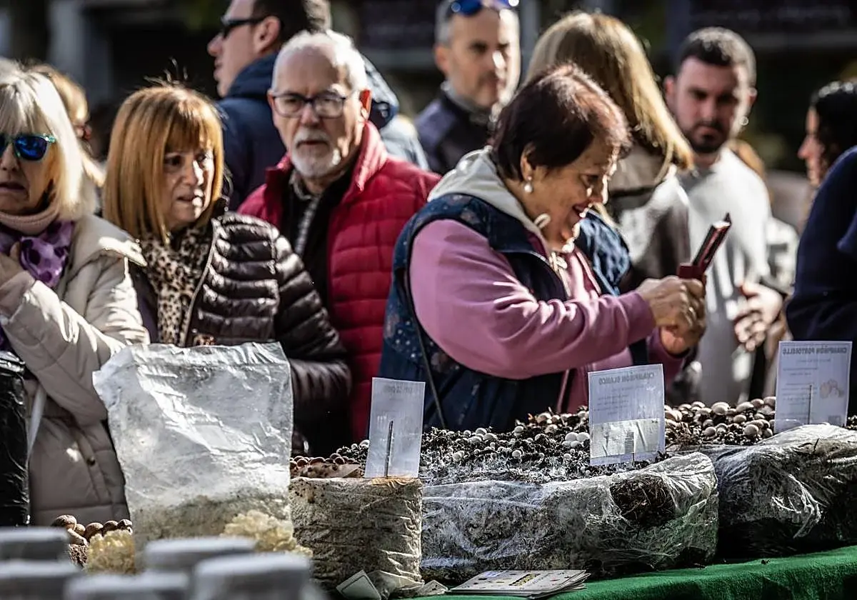 Ezcaray abrirá el 30 de octubre su XXXIV cita micológica