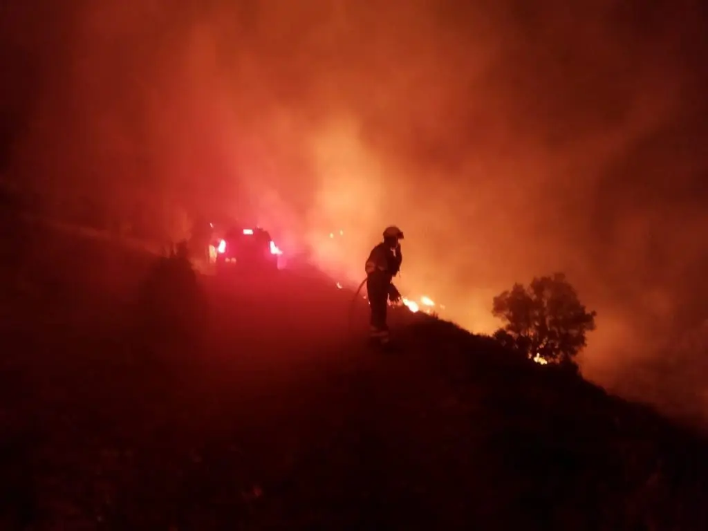 La UPV estima en 626.000 toneladas de CO₂ la huella del fuego de Bejís