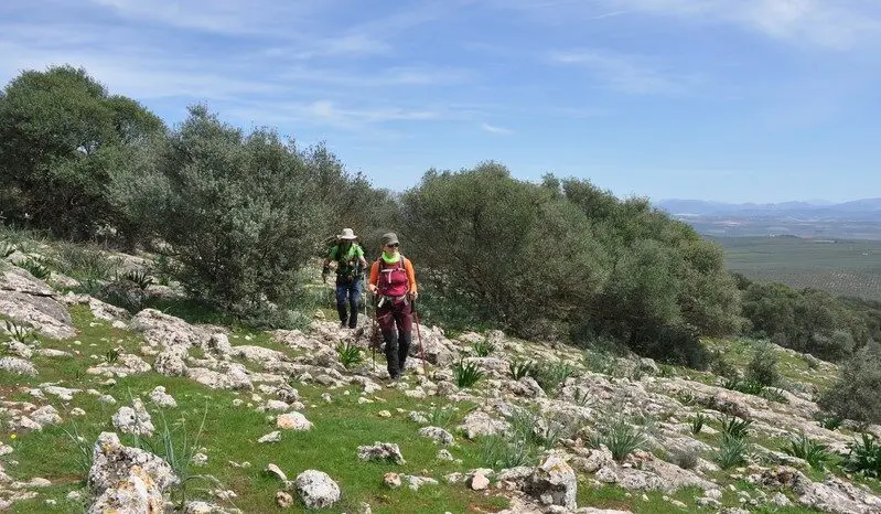 «Abraza Mollina» propone completar cada mes el perímetro del municipio