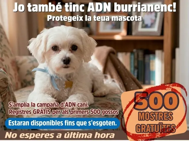 Burriana se acerca al límite de las pruebas caninas gratuitas