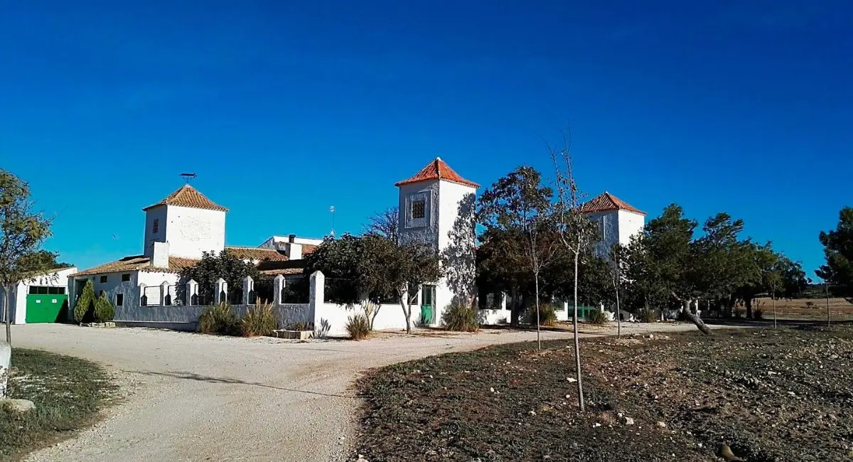 Almansa dispone la recuperación de cuatro caminos públicos de Los Pandos