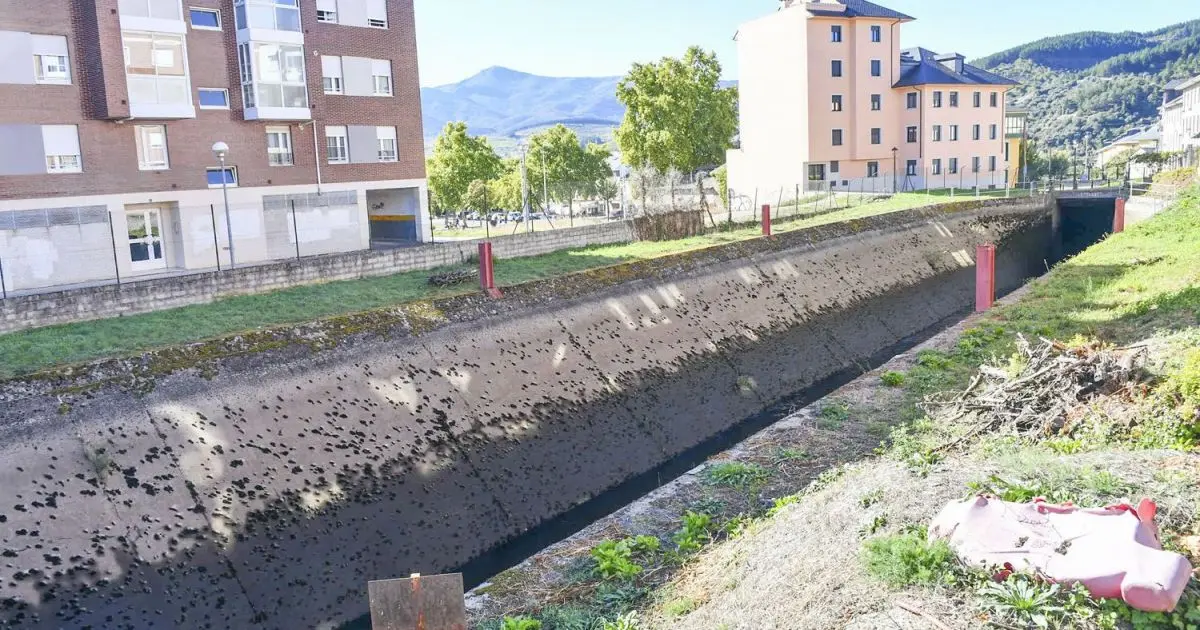 Ponferrada da luz verde unánime al convenio para cubrir el canal de Cornatel