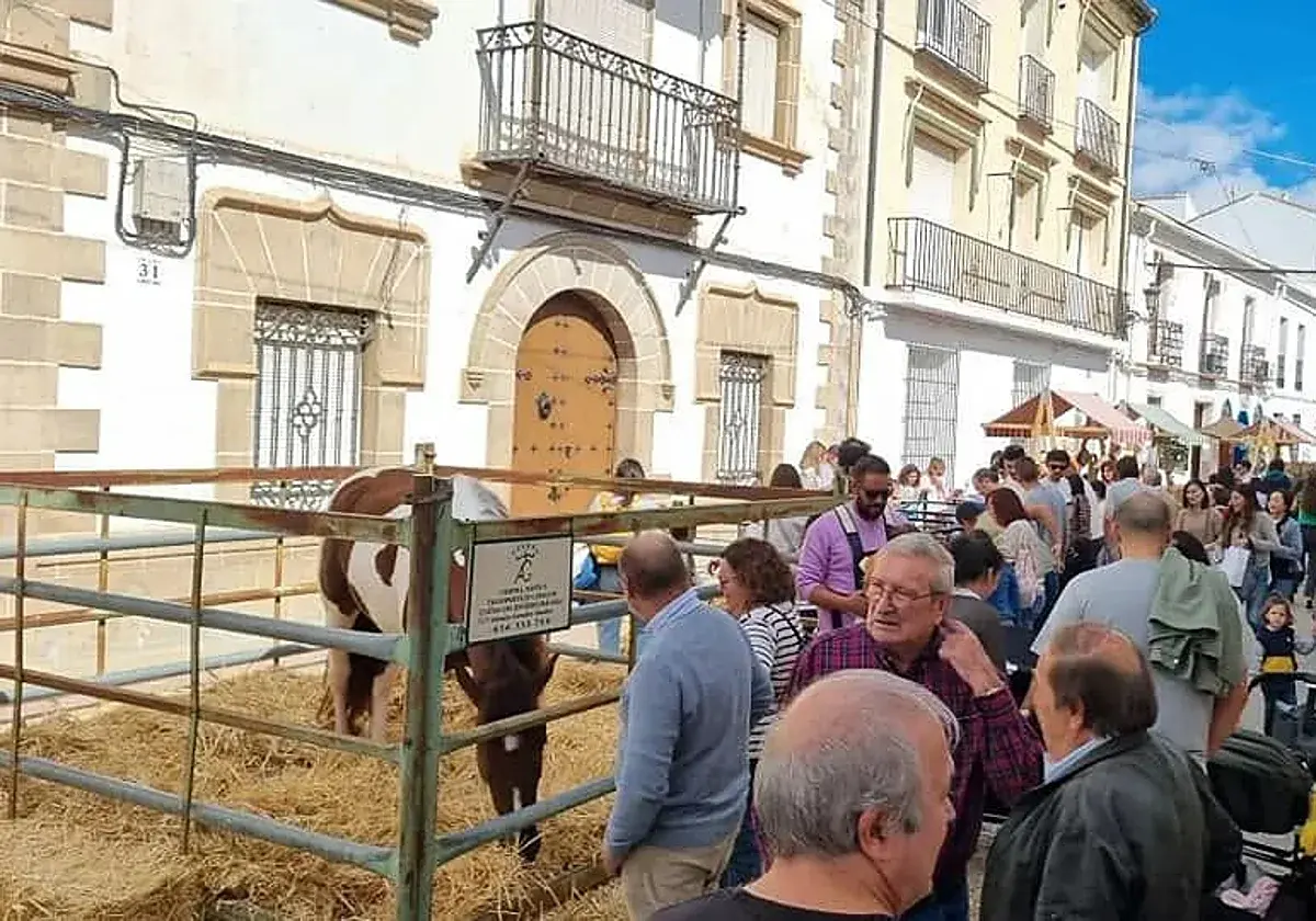 Cuevas del Becerro dedicará tres jornadas a mostrar el valor del mundo rural