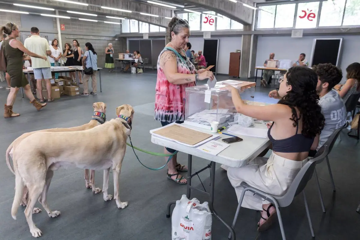 Una guía explica cómo saber si te han elegido para una mesa electoral el 29-N