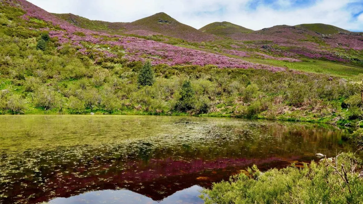 La laguna de As Charcas protagoniza la fotografía ganadora del certamen de los Ancares