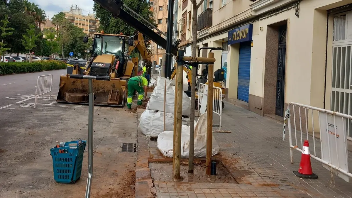 València contempla reponer árboles en alcorques vacíos de varios barrios