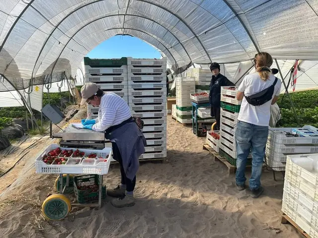 Almonte acuerda reforzar la seguridad ante el aumento de actividad agrícola