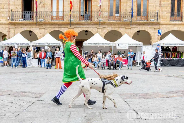 Las mascotas disfrazadas se unen a una causa solidaria en Benavente
