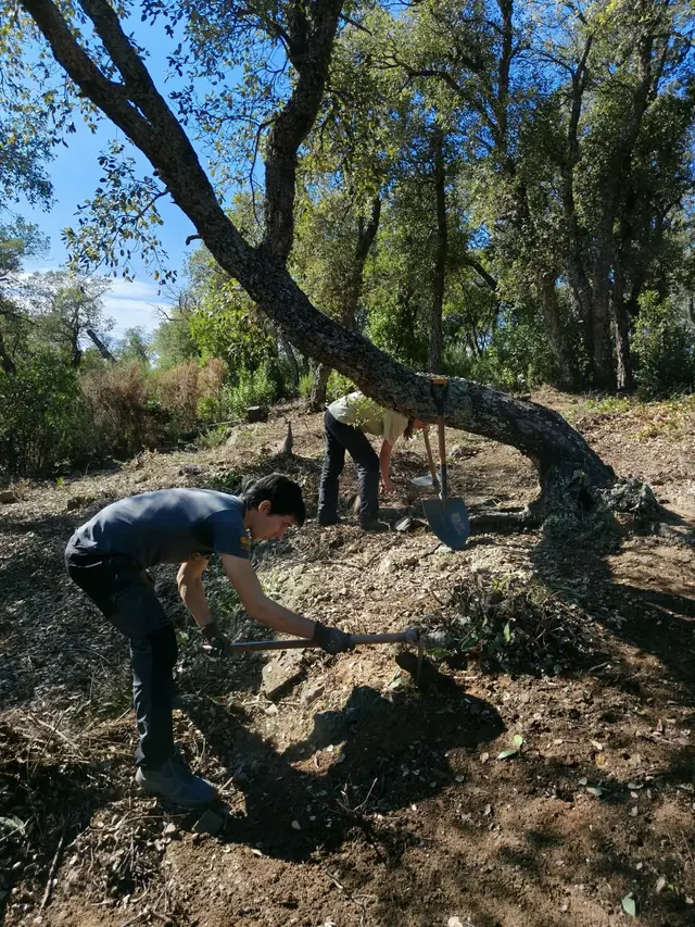 El Puig del Castellar inicia una nueva campaña de excavaciones arqueológicas
