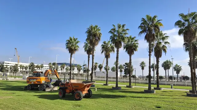 Doce palmeras del Saladillo serán trasladadas al Parque de la Conferencia
