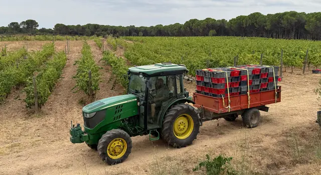 Savé advierte de que el cambio climático puede dificultar la conservación del vino