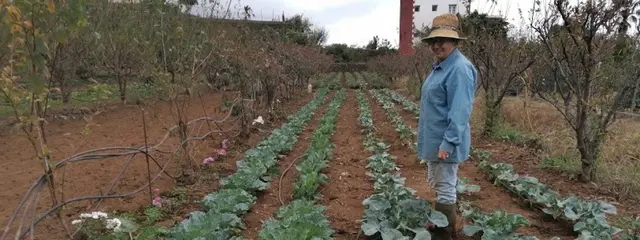 La Orotava dedicará octubre a reconocer el papel de las mujeres rurales