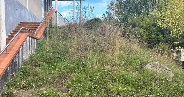 El CEIP Wenceslao de Cambre reclama atención para sus zonas con hierba alta