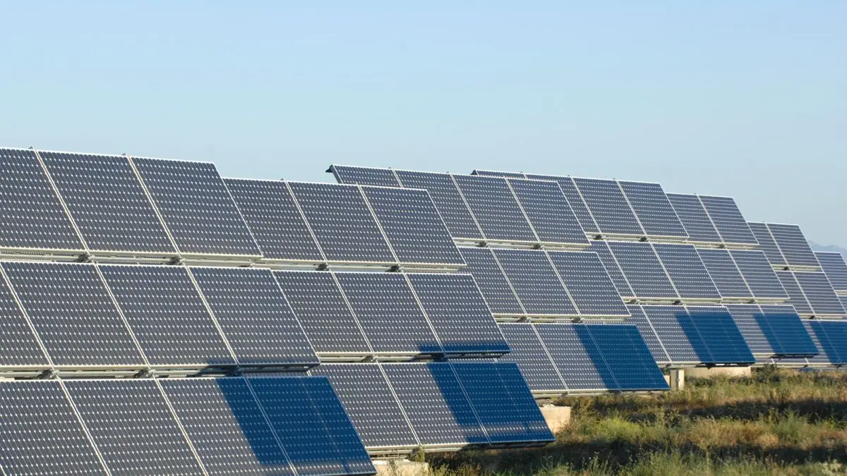 El parque solar previsto junto a la Cooperativa Agrícola supera el trámite ambiental