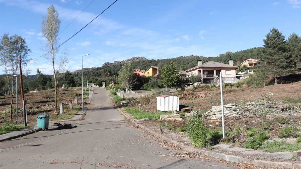 El desbroce de Pormasol en Boñar prevé cubrir su coste con la madera