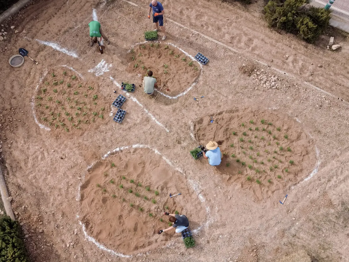 Sant Ferran incorpora un nuevo espacio para mariposas y polinizadores