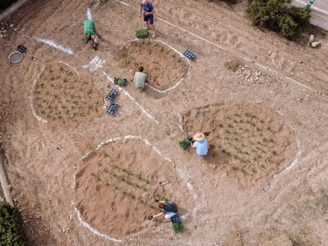 Sant Ferran incorpora un nuevo espacio para mariposas y polinizadores