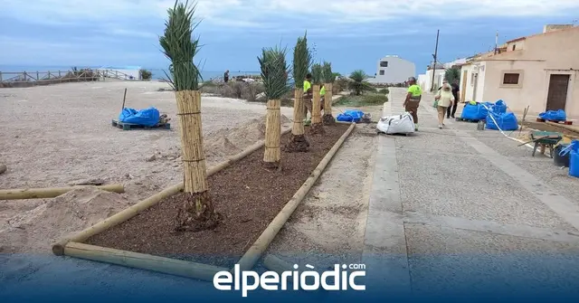 Tabarca completa una nueva intervención para mejorar su paisaje
