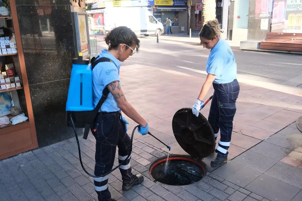 La ciudad registra 258 actuaciones contra insectos y roedores en septiembre