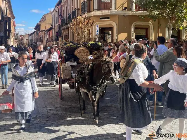 Toro reserva el domingo para el desfile central de la Vendimia