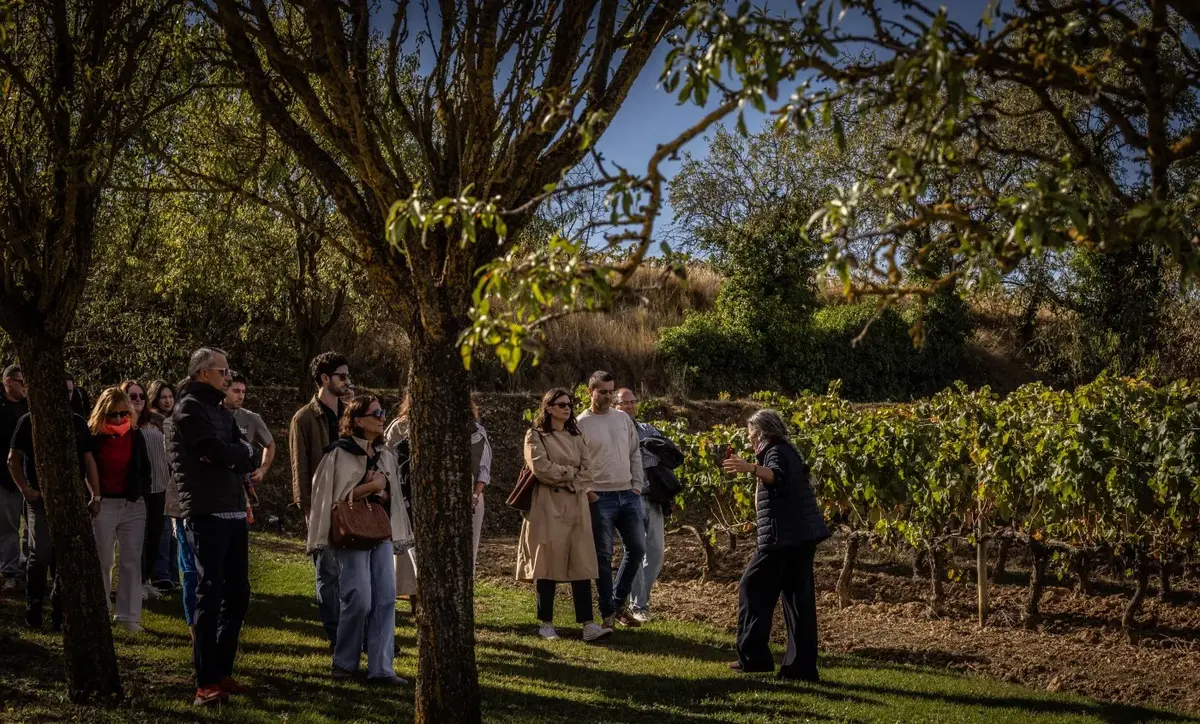Haro recibe a miles de visitantes atraídos por el turismo del vino