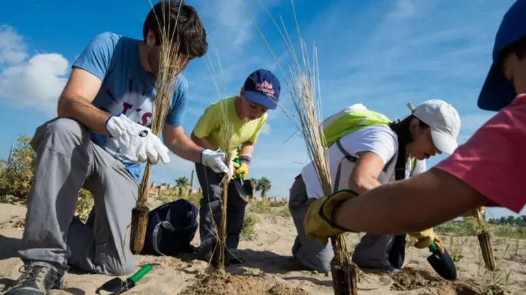 Dunas y una actividad familiar protagonizan la jornada ambiental del litoral