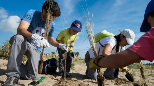 Dunas y una actividad familiar protagonizan la jornada ambiental del litoral