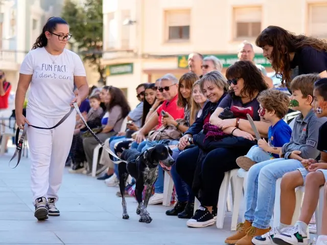 La feria animal de L’Alcora celebrará su sexta edición este sábado