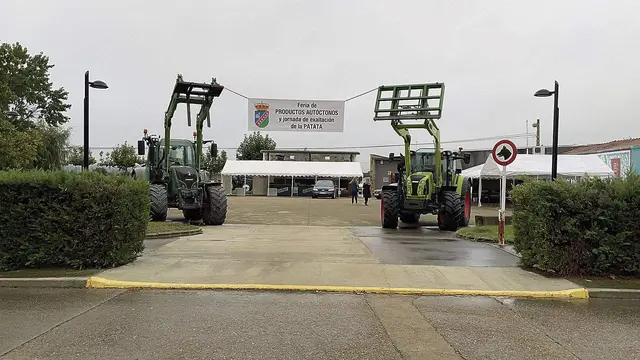 La patata protagonizará dos jornadas de feria en Riego de la Vega
