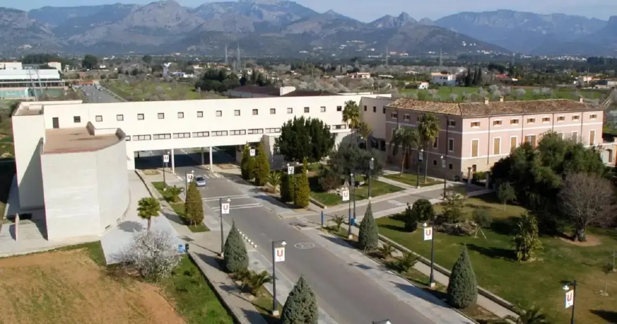 Un estudiante en Palma relata cómo han cambiado sus gastos para vivir
