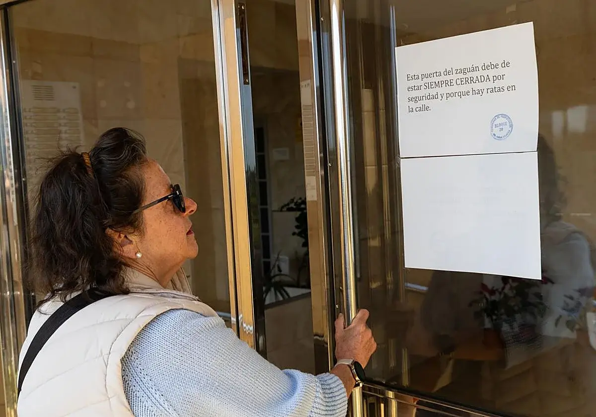 Barrio Atlántico afronta nuevas medidas contra los roedores