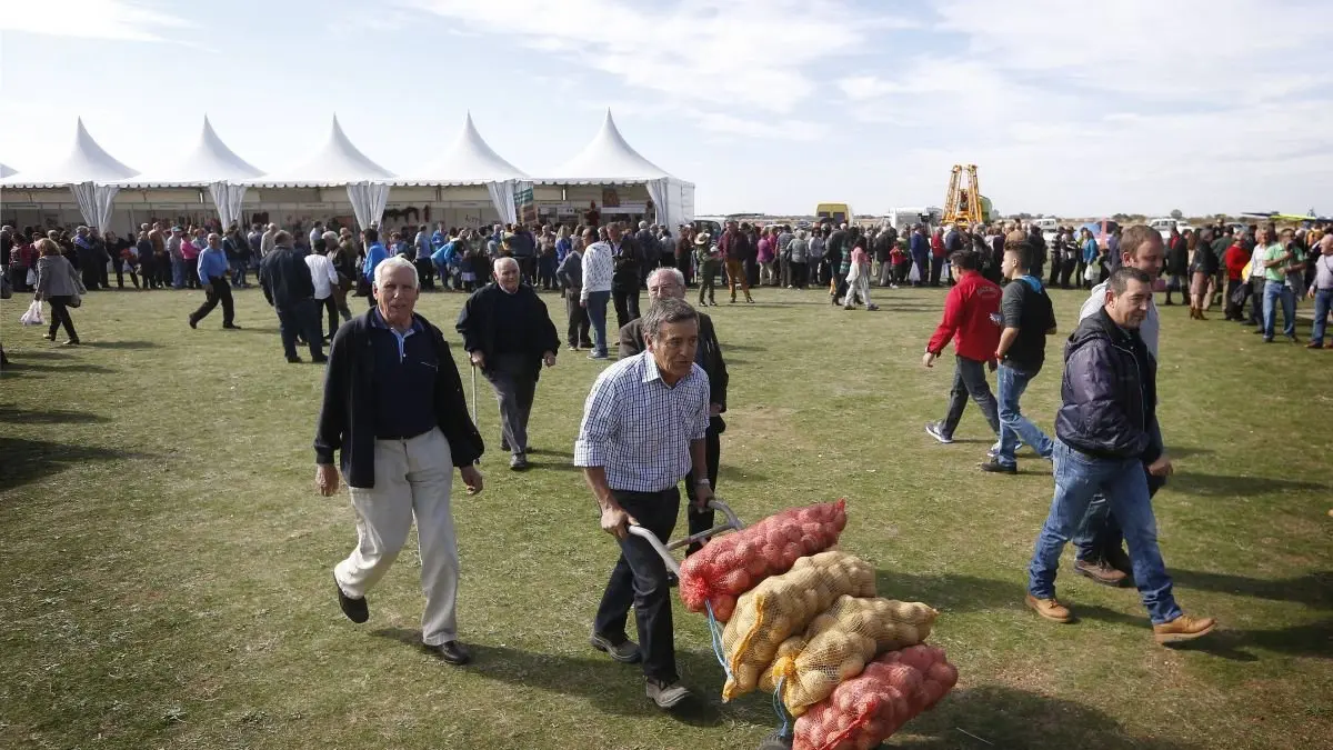 La feria de la patata de Chozas de Abajo reunirá 32 puestos