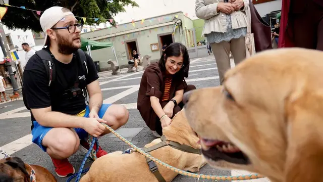 Vegueta acoge una jornada municipal para fomentar la adopción responsable de mascotas