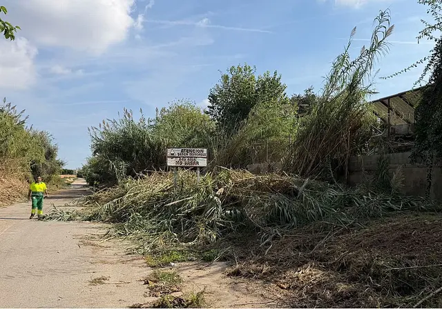 Bétera paga con recursos municipales la limpieza de un barranco próximo al Carraixet