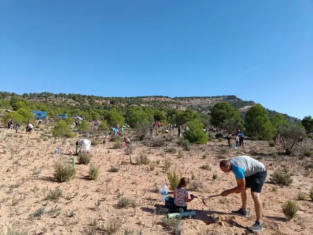 Yecla celebrará en Los Pajonares una nueva jornada de plantación autóctona